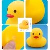 Rubber Duck   random graphic